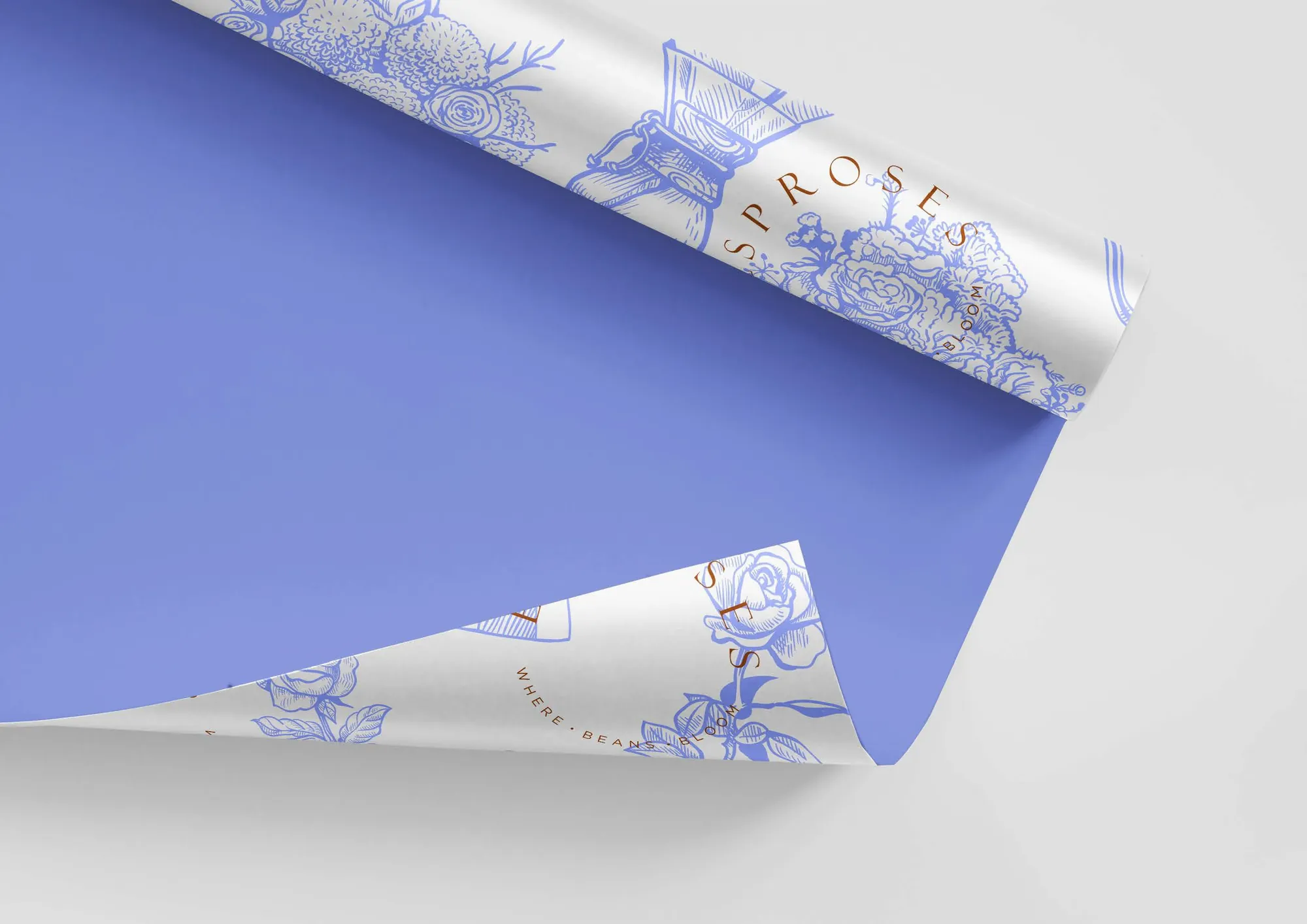 Esproses wrap