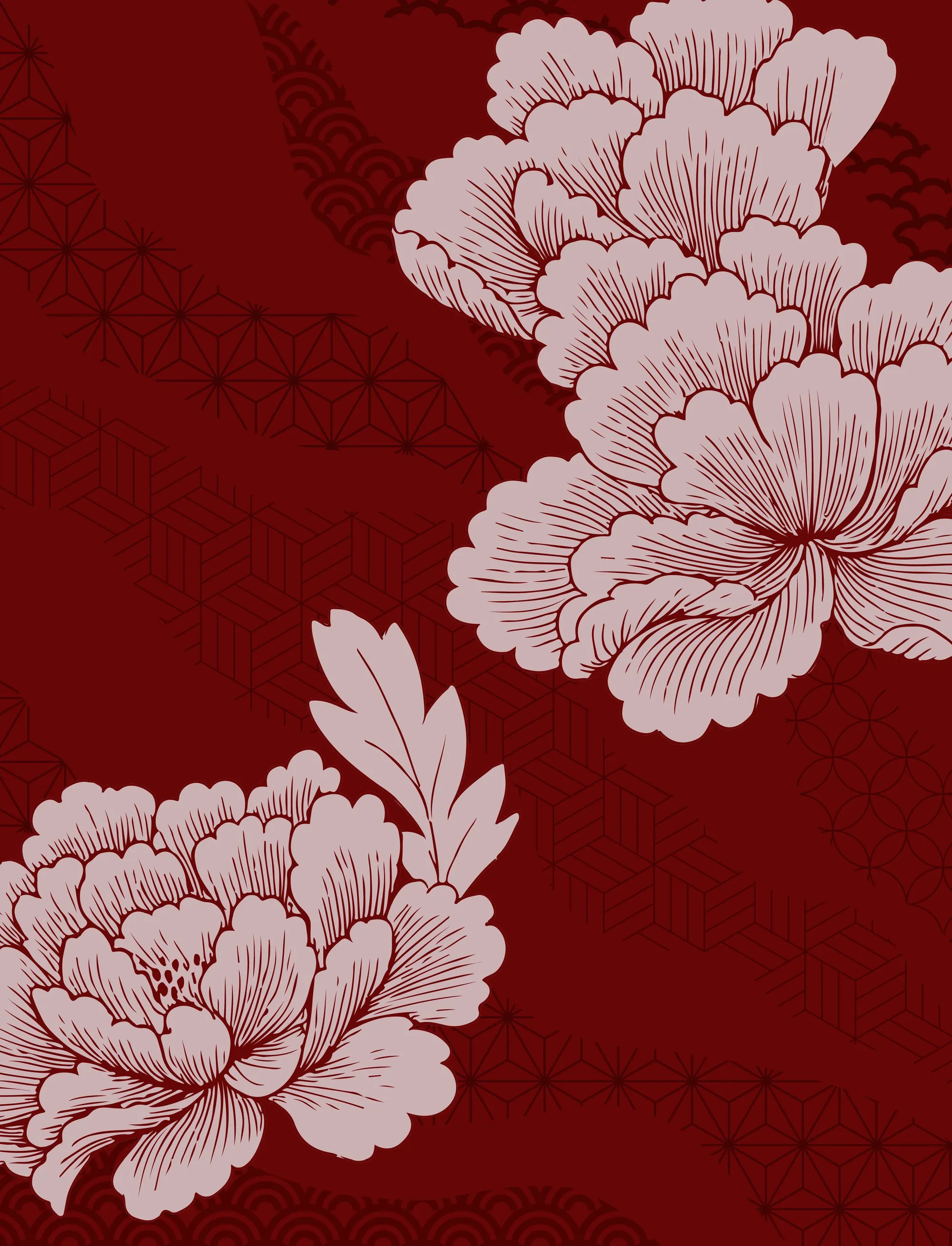 Garden Gala peony illustration
